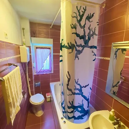 Bozo Apartment